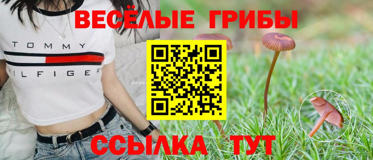 Галлюциногенные грибы Psilocybine cubensis Изобильный